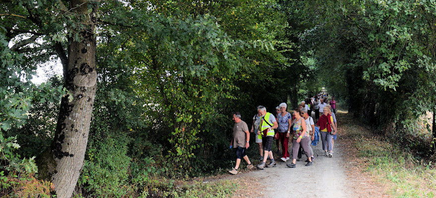 Groupe de tête des marcheurs de l'après-midi sur la Voie Verte