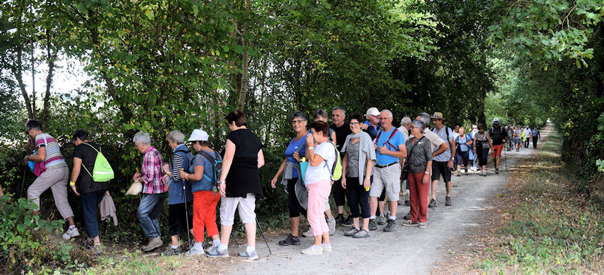 Le petit passage pour quitter la Voie Verte et rejoindre la route