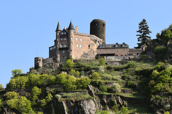 Sankt Goarshausen : Château du Katz (Château du Chat) 