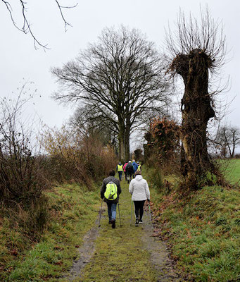 Le chemin des Mesliers, les Teillais, le chemin de la Cocherie, nous sommes à St Cyr le Gravelais en Pays de Loire