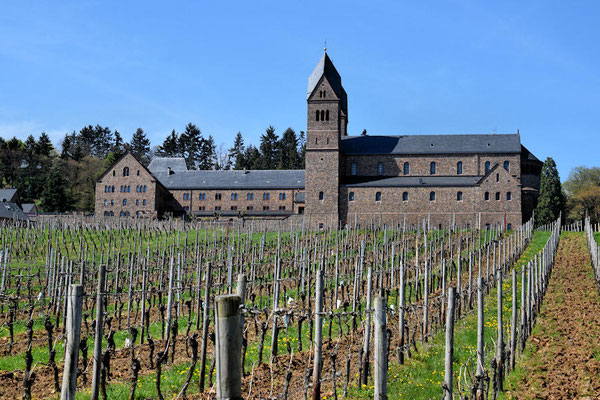 Nous sommes dans la région viticole de Rheingau où se cultive principalement le resling et le pinot noir 
