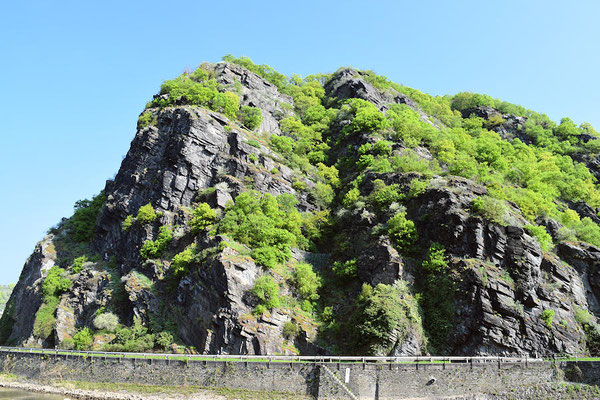 Le Rocher de la Loreleï culmine à 132 mètres au dessus du Rhin