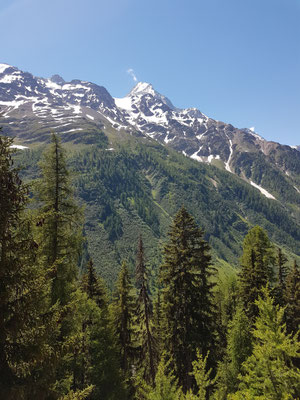 Das Bietschhorn immer im Blick auf dem Lötschentaler Höhenweg