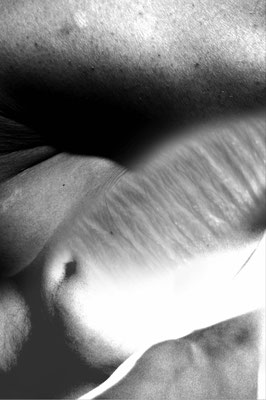 Haut#3 © Christopher A. Oberdorfer