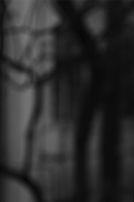 Schatten © Christopher A. Oberdorfer