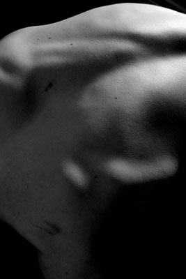 Haut#5 © Christopher A. Oberdorfer