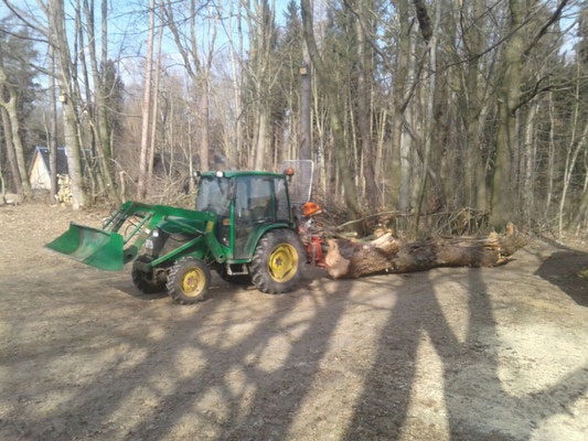 Holzrückearbeiten!