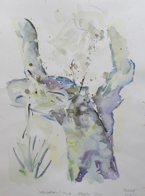 Algorobo-Baum, 40x30 cm, Aquarell auf Papier, 