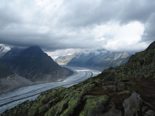 Aletschgletscher