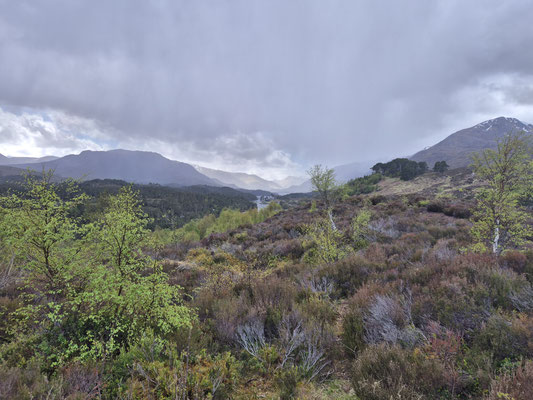 Glen Affric