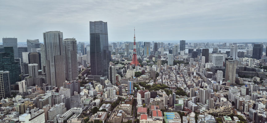 📍Roppongi Hills Mori Tower