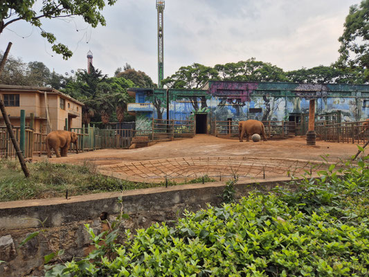 📍 Kunming Zoo 😭