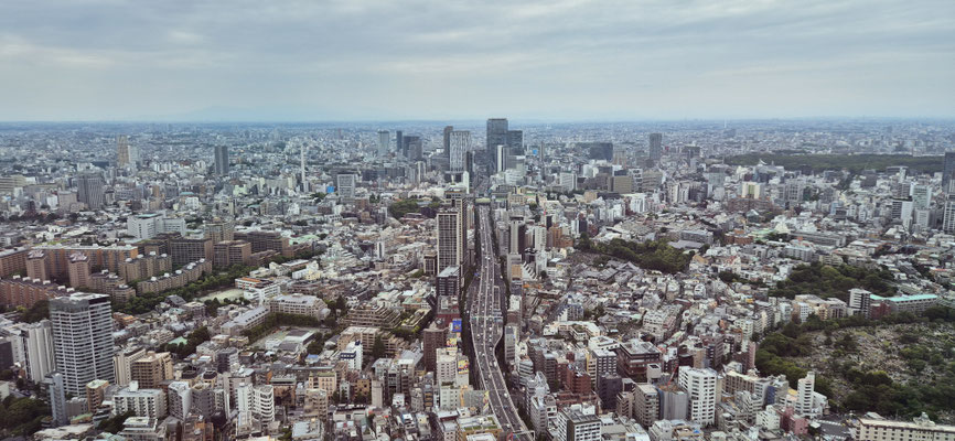 📍Roppongi Hills Mori Tower