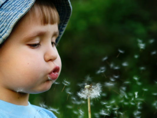 kleines Kind mit Pusteblume