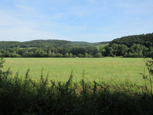 Herrliche grüne Wiesen laden zum Erholen ein