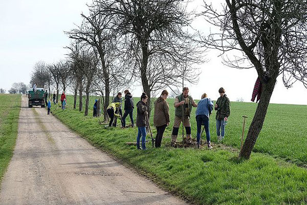 Erhebliche Verjüngung des Altbestands der Obstgehölze. Foto: Hans Schnitzler