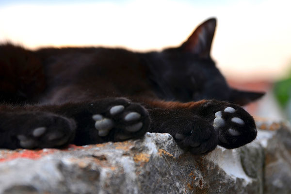 Mittagsruhe