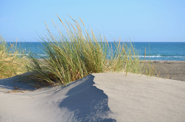 Sanddüne III