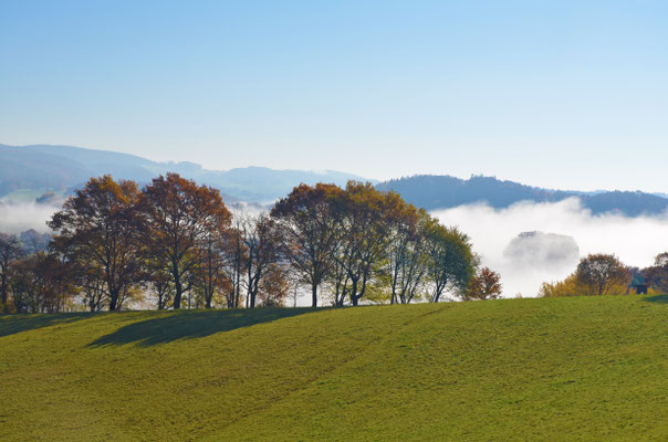 Nebel im Tal II