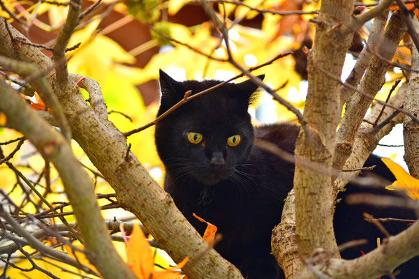 Sicheres Versteck
