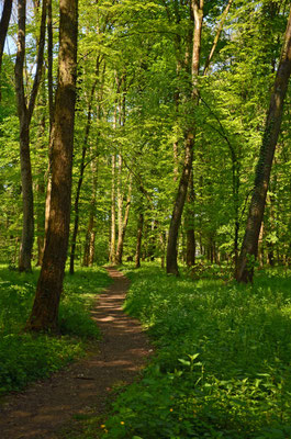 Frühlingsspaziergang