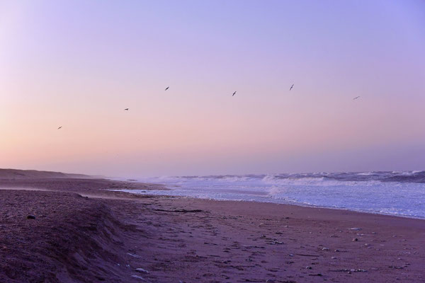Wintermorgen am Meer