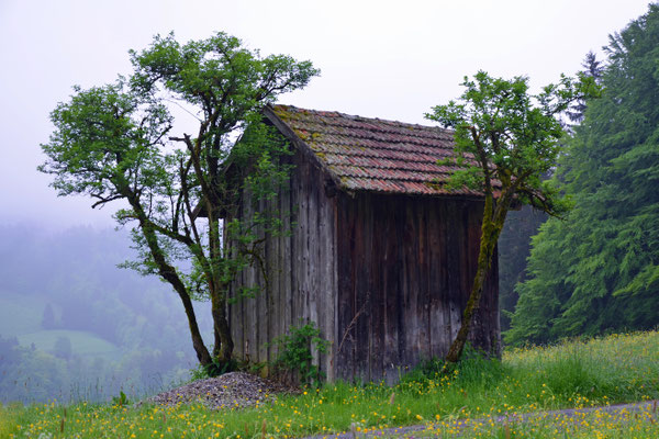 Kleine Hütte