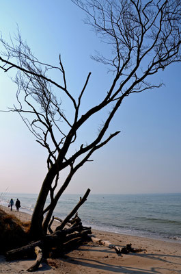 Nachmittagsspaziergang am Meer