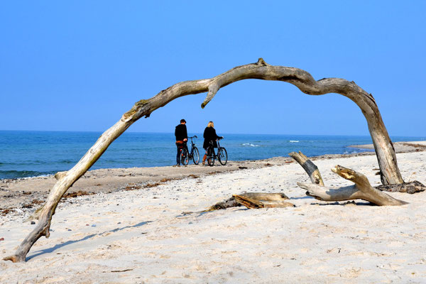 Strandgut