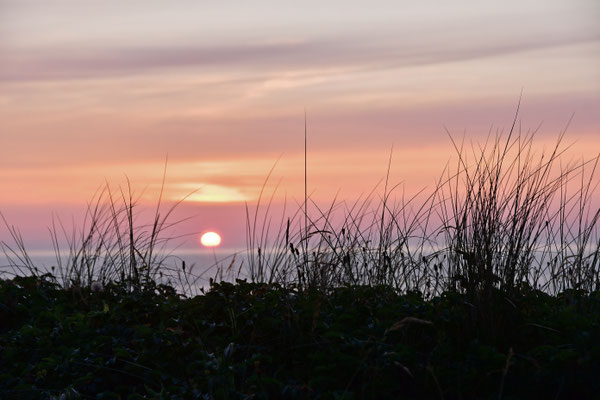 Nordic sundown I