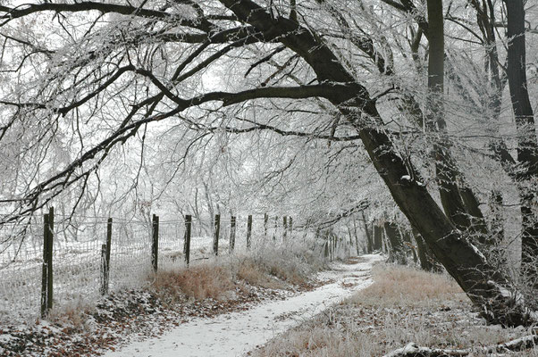 Winterweg