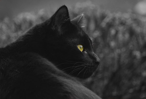 Alles im Blick