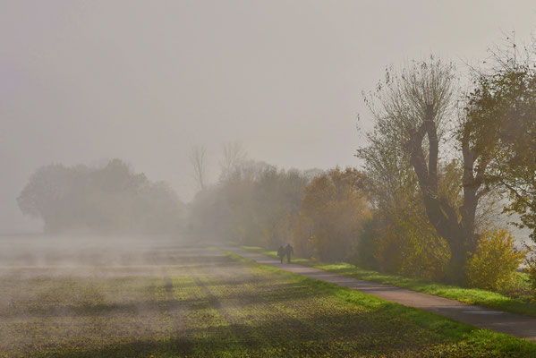 Im Morgennebel