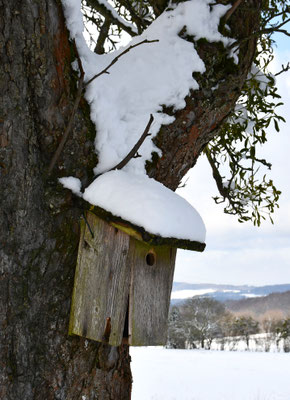 Vogelhäuschen