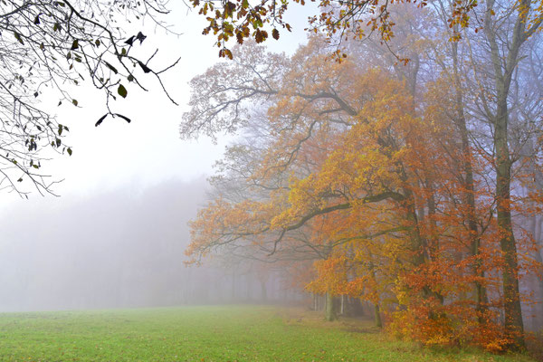 Bunter Herbst