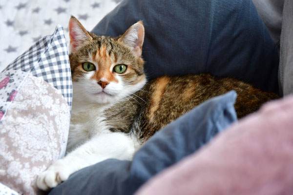 Kuschelplatz