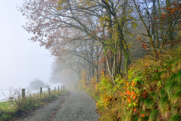 Herbstweg I