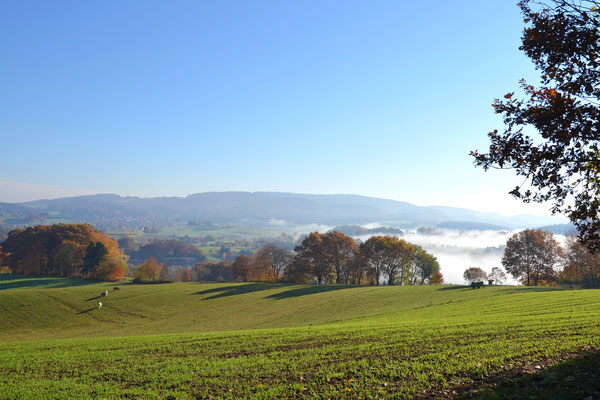 Nebel im Tal I