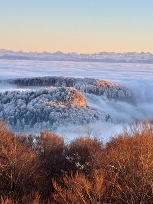 Wisenbergturm Häfelfingen Basel-Landschaft