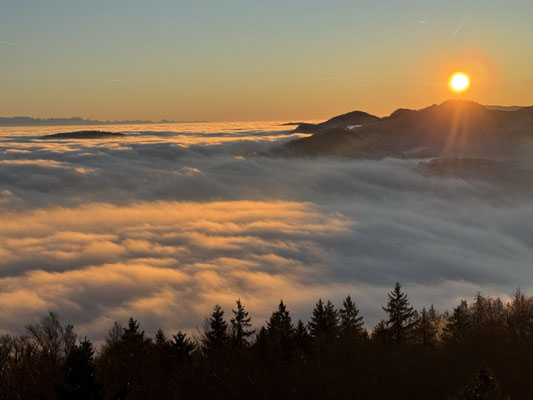 Sicht vom Wisenbergturm, 27.12.2025, Foto von Silvia Schärrer