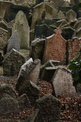 jüdischer Friedhof Prag