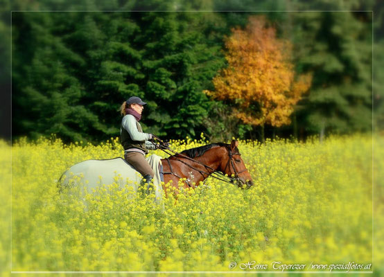 Fotografie in der Natur, Naturfotografie