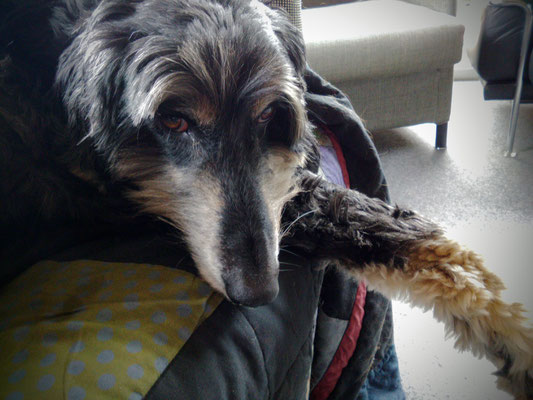 Chica macht es sich gern auf dem Sofa bequem...