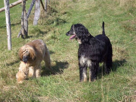 Beim Spaziergang mit Phoebe