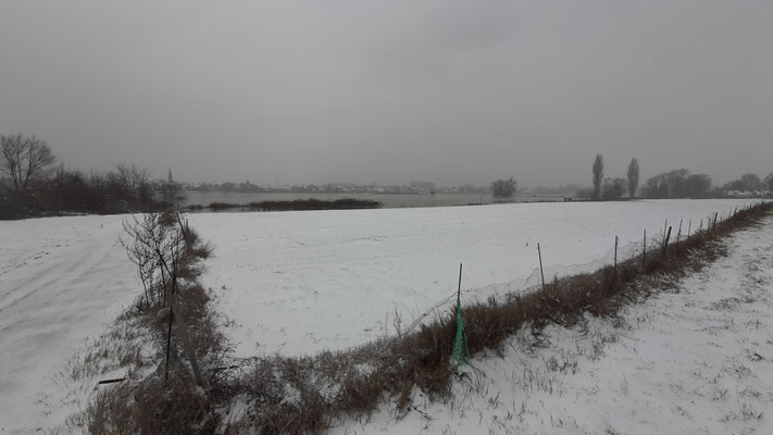 Unser Feld am 7.2.: umgepflügt und schneebedeckt