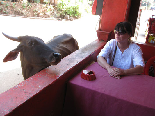 Blickkontakt im Kaffee in Goa