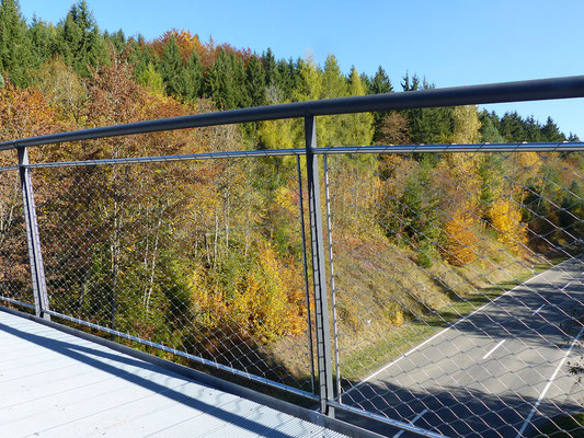 Luise Sturm Brücke Bad Dürrheim