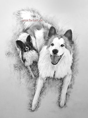 Zwei Hunde - 2019, 30 x 40 cm, Bleistift/Buntstift auf Karton