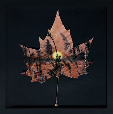 Ahorn 8 - 2019, Öl auf Ahornblatt