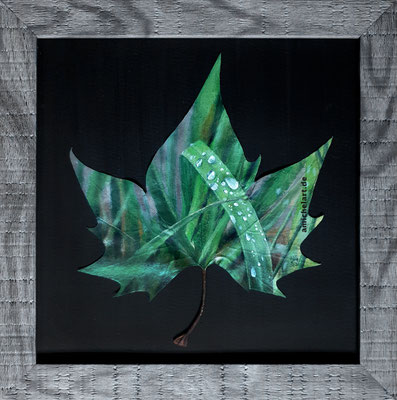 Ahorn 7 - 2019, Acryl auf Ahornblatt